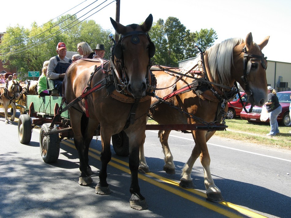 1878 Octoberfest 2008 GAT